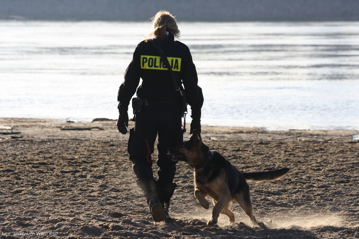Policyjny pies służbowy i jego przewodnik na plaży