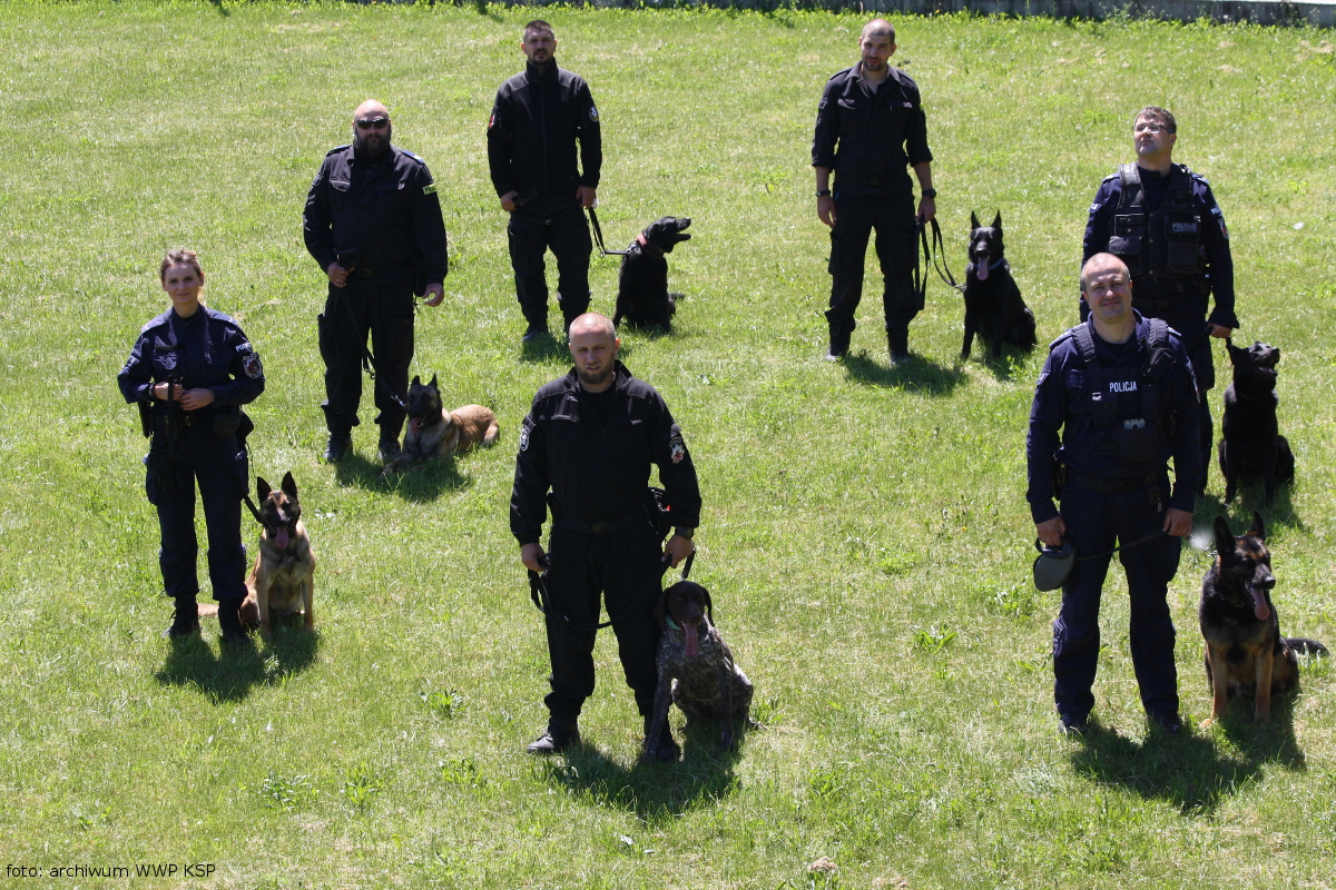 Wspólne zdjęcie policyjnych psów służbowych i ich przewodników na łące
