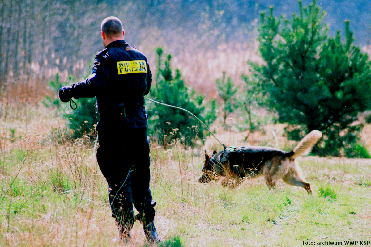 Na zdjęciu widać policjanta w umundurowaniu ćwiczebnym, który na smyczy prowadzi psa. Zdjęcie wykonano przed wejściem do lasu.